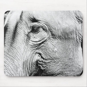 Elephants Eye, 2017 Muismat