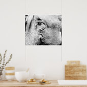 Elephants Eye, 2017 Poster (Keuken)