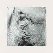Elephants Eye, 2017 Wandkleed (Voorkant)