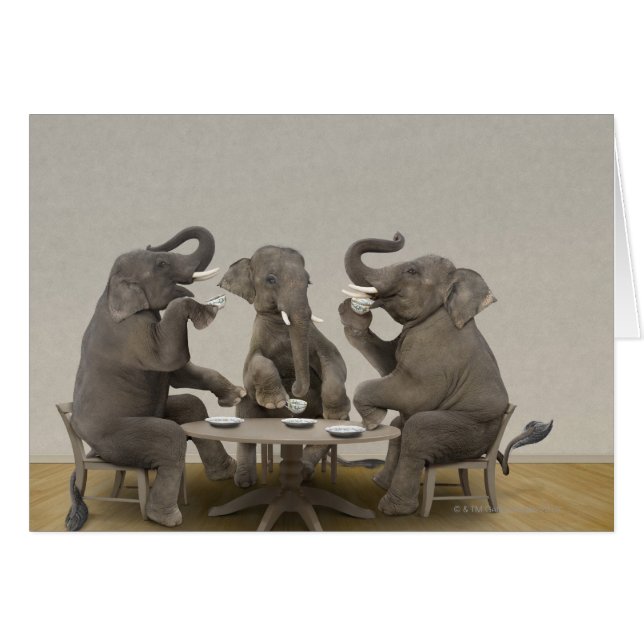Elephants having tea party (Devant horizontal)