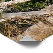 Elephants-parade Poster (Hoek)