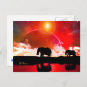 Eléphants parmi les étoiles carte postale (Devant / Derrière)