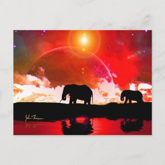 Eléphants parmi les étoiles carte postale (Devant)