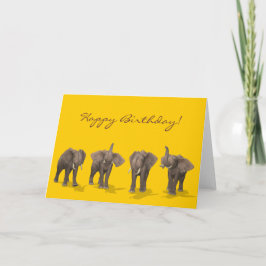 Elephants Quartet Happy Birthday Kaart