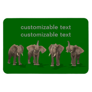 Elephants Quartet Magneet