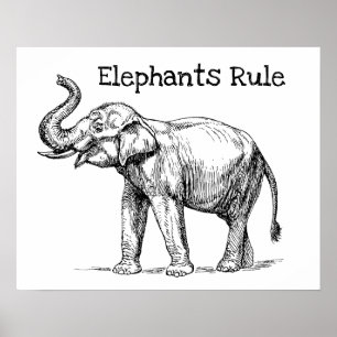 Elephants-regel Poster