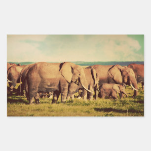Elephants-stickers Rechthoekige Sticker