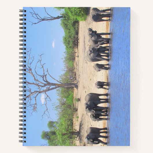 Eléphants sur le Carnet de la spirale fluviale (Devant)