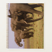 Elephants van Chobe Planner (Voorkant)