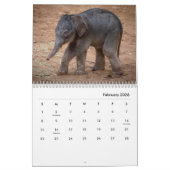 Elephants Wall Calendar Kalender (Feb 2026)
