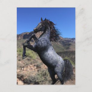 Élevage Cheval bleu roan dans le désert Carte post