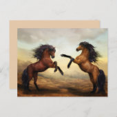 élevage de chevaux carte postale (Devant / Derrière)