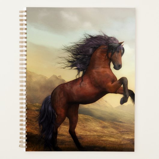 élevage de chevaux sauvages (Devant)