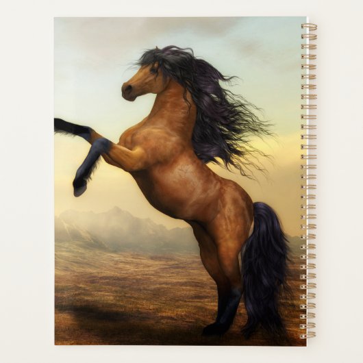 élevage de chevaux sauvages (Dos)