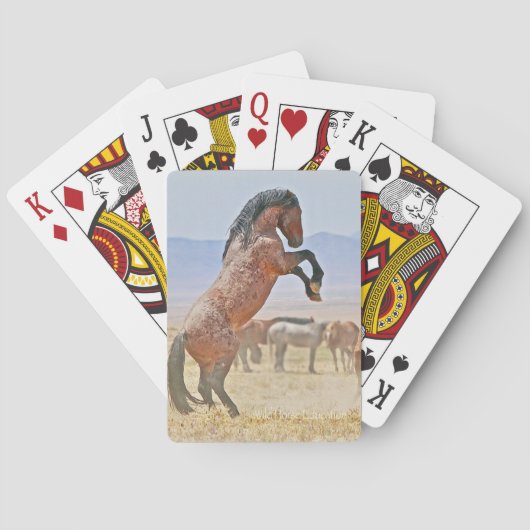 Elevage Stallion, Prêt à jouer, jeu de cartes (dos)
