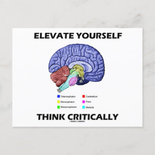Elevate jezelf denk kritisch over brainy Advice Briefkaart