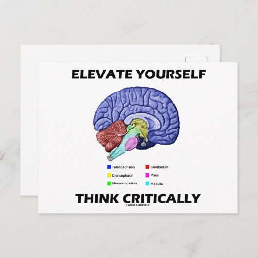 Elevate jezelf denk kritisch over brainy Advice Briefkaart (Voorkant / Achterkant)