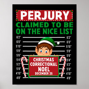 Elf beweerde op de Nice-lijst te staan North Pole Poster
