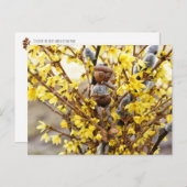 Elf d'Acorn avec carte postale de printemps (Devant / Derrière)