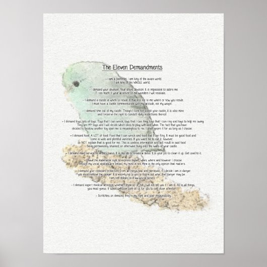 Elf demandingen van Parrotlets Poster (Voorkant)