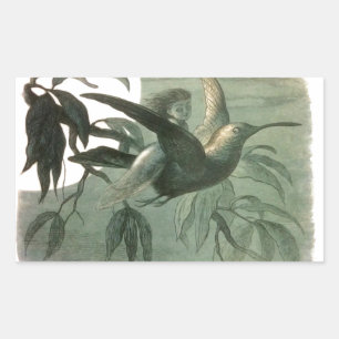 Elf Fairies Elfen Maan Nachtscène Vogel Vliegen Rechthoekige Sticker