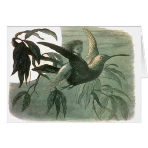 Elf Fairies Elves Lune Scène nocturne Oiseau Volan