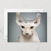 Elf Sphinx Cat-foto Briefkaart (Voorkant / Achterkant)