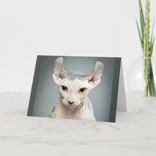 Elf Sphinx Cat-foto Kaart (Voorkant)