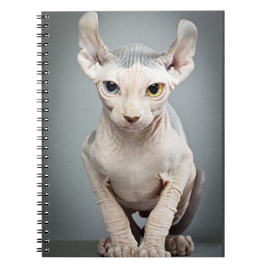 Elf Sphinx Cat-foto Notitieboek (Voorkant)