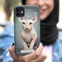Elf Sphynx Cat-foto | Jouw namen toevoegen