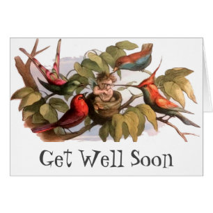 Elf Vogel Sprite Pixie Brownie Sprookje