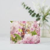 Elfe d'Acorn sur la carte postale de sakura en fle (Debout devant)