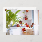 Elfe de maïs avec carte postale de dragon de tulip (Devant / Derrière)