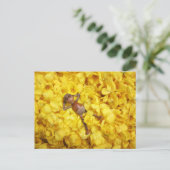 Elfe de maïs dans la carte postale feuille de fleu (Debout devant)