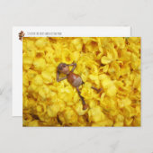 Elfe de maïs dans la carte postale feuille de fleu (Devant / Derrière)