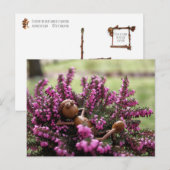 Elfe de maïs sur la carte postale du jardin de la  (Devant / Derrière)