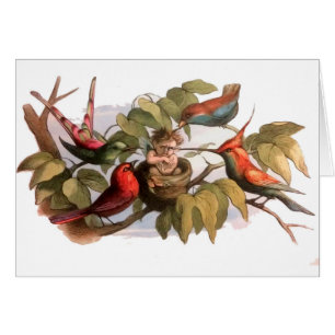 Elfe des bois dans le nid : Antique Oiseau Sprite 