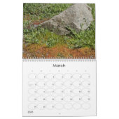 Elfin Forest Calendar Kalender (Mar 2026)