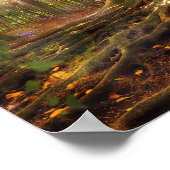 elfin treehouse poster (Hoek)