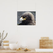 ELGF POSTER (Keuken)