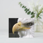 ELGF-VOGELS BRIEFKAART (Staand voorkant)