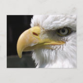 ELGF-VOGELS BRIEFKAART (Voorkant)