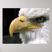 ELGF-VOGELS POSTER (Voorkant)