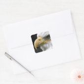 ELGF-VOGELS VIERKANTE STICKER (Envelop)