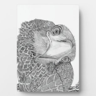 ELGF'S HARRIET + M HOME FAMILIE TREE E9 SOARS FOTOPLAAT