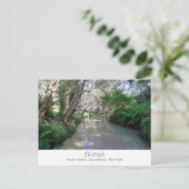 Eli Creek, Fraser Island, Australië - Briefkaart (Staand voorkant)