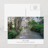 Eli Creek, Fraser Island, Australië - Briefkaart (Voorkant / Achterkant)