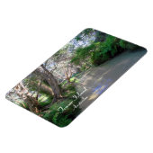 Eli Creek Fraser Island, Australie, Premium Magnet (Côté Gauche)