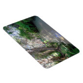 Eli Creek Fraser Island, Australie, Premium Magnet (Côté Droit)