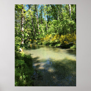Elijah Bristow State Park, Dexter, Oregon Poster